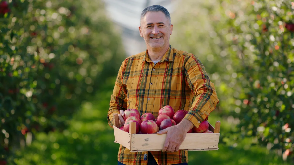 Sadownik z skrzynką świeżych jabłek — certyfikowani dostawcy DailyFruits